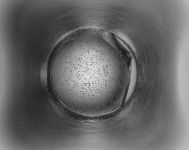 X0000088370580200706051043