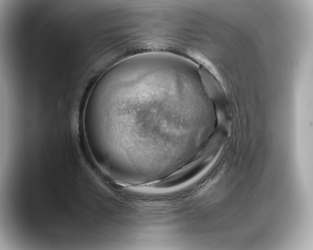 X0000088370581200706051043