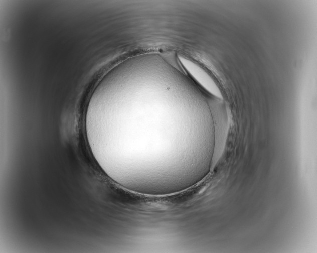 X0000088370583200706051043