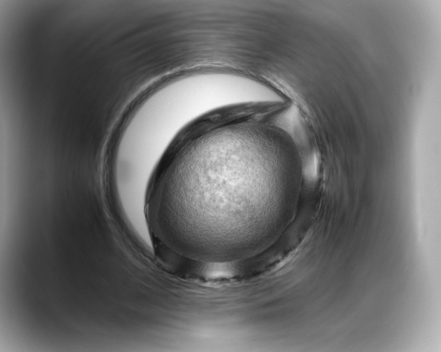 X0000088370584200706051043