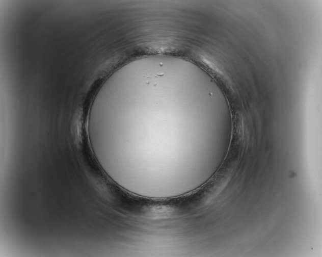 X0000088370590200706051043