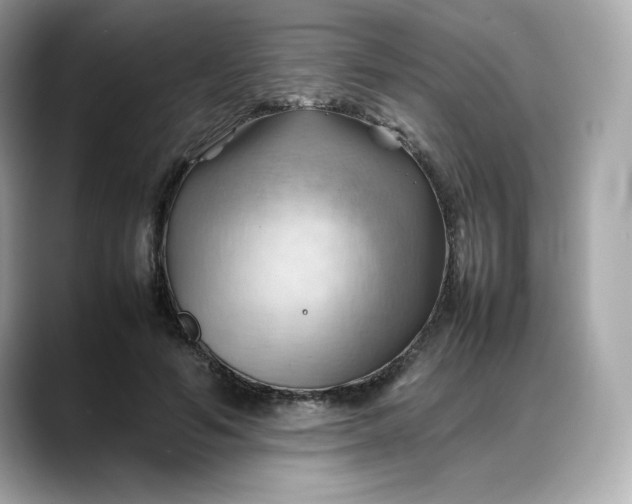 X0000088370594200706051043