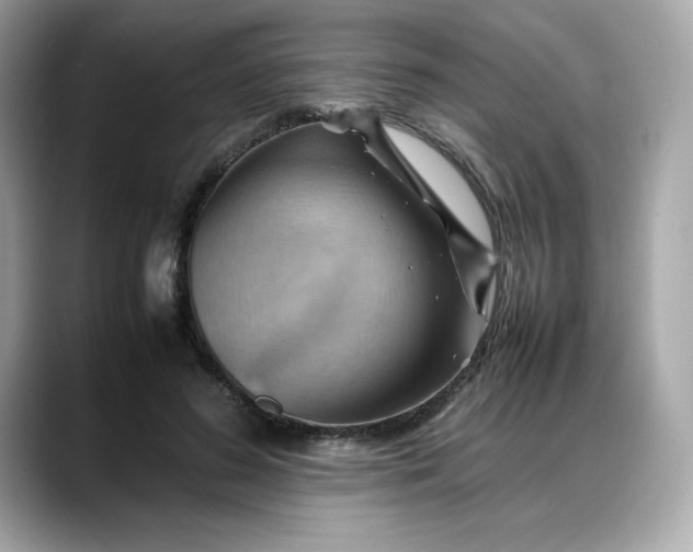 X0000088370596200706051043