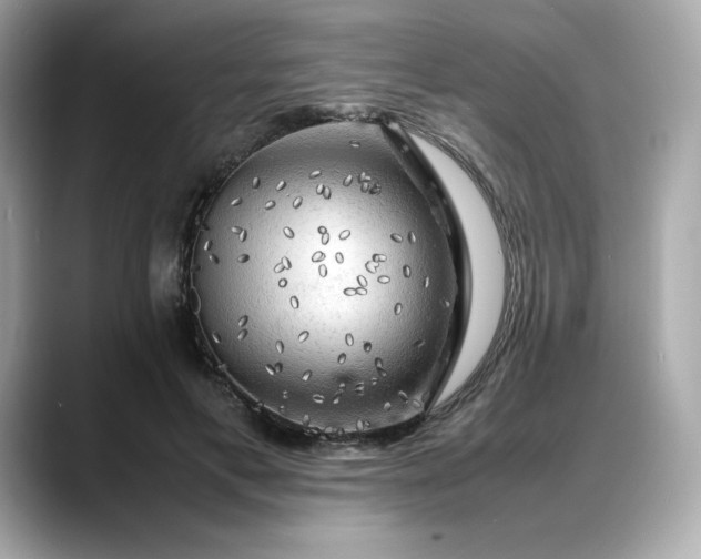 X0000088370597200706051043