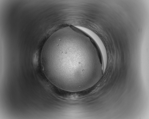 X0000088370600200706051043