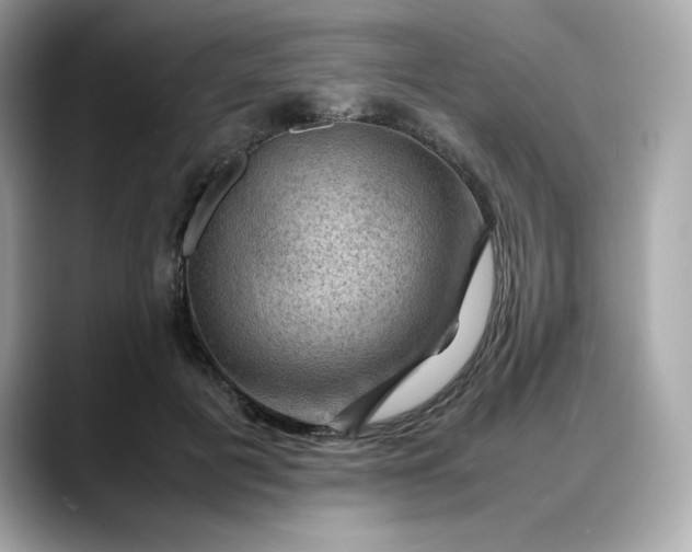 X0000088370601200706051043