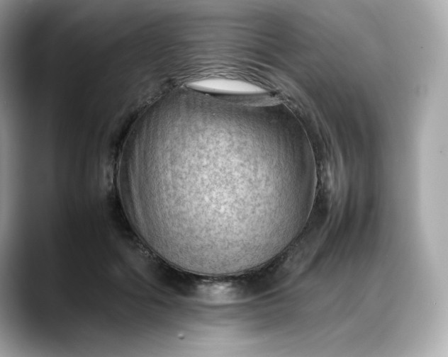 X0000088370602200706051043