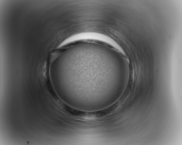 X0000088370604200706051043
