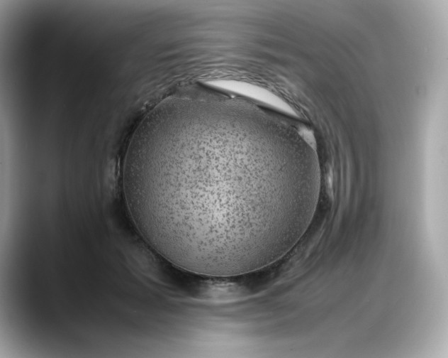 X0000088370605200706051043