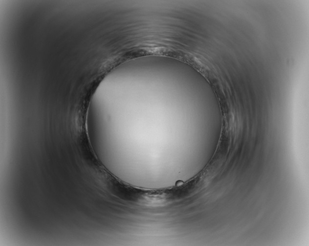 X0000088370606200706051043