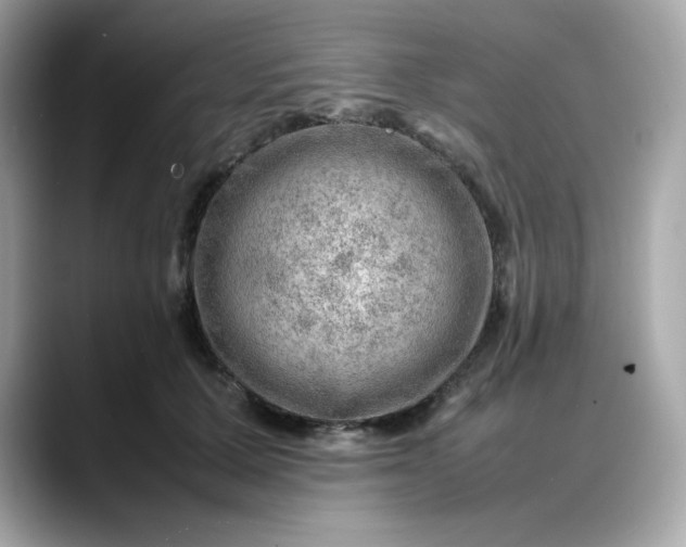 X0000088370607200706051042