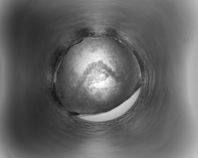 X0000088370609200706051042