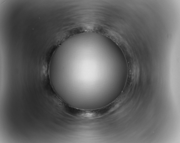 X0000088370610200706051042