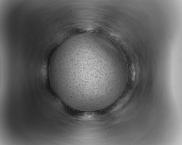 X0000088370612200706051042