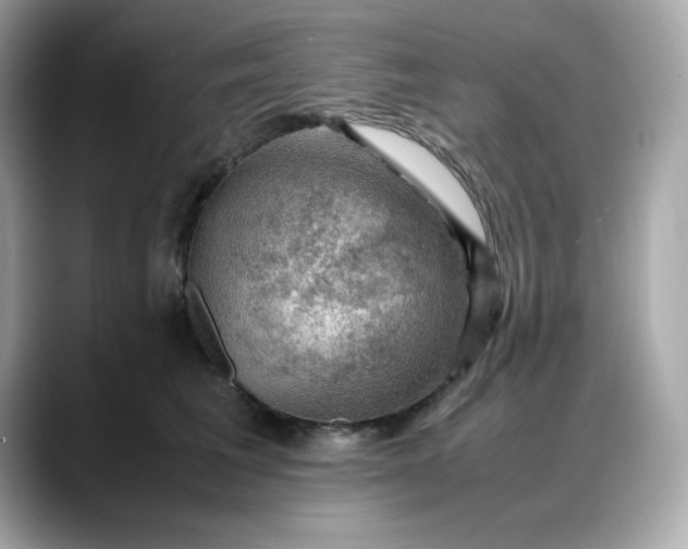 X0000088370613200706051042