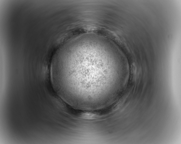 X0000088370614200706051042