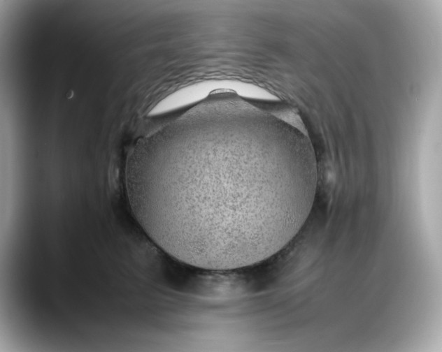 X0000088370615200706051042