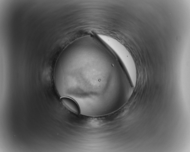 X0000088370616200706051042