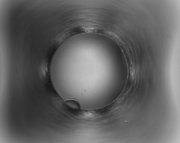 X0000088370618200706051042