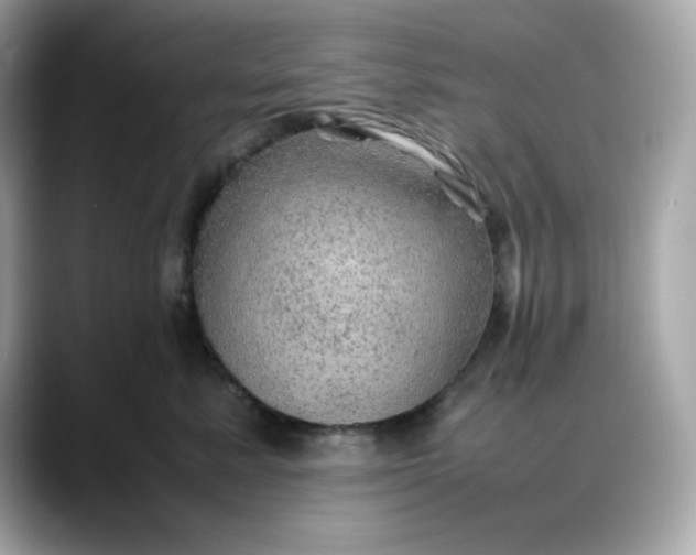 X0000088370619200706051042