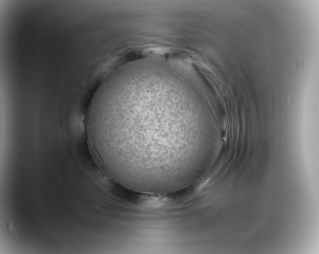 X0000088370621200706051042