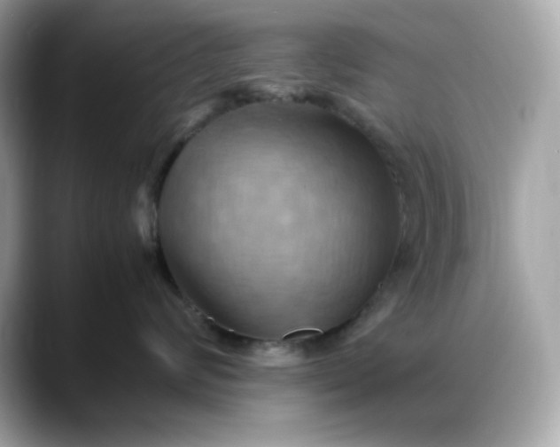 X0000088370624200706051042