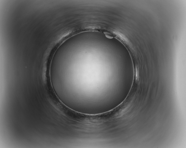 X0000088370627200706051042