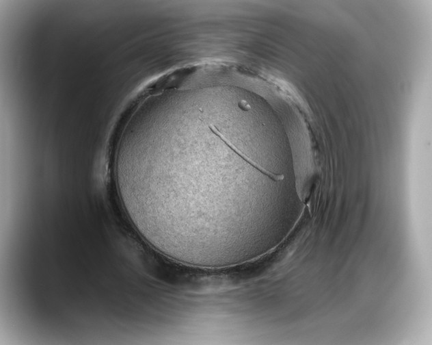 X0000088370628200706051042