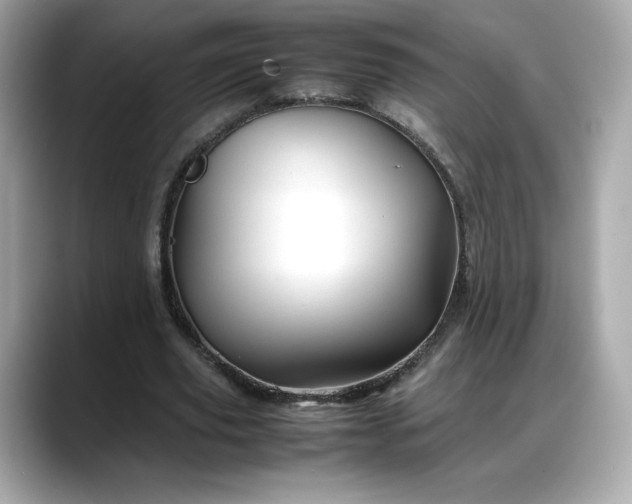 X0000088370629200706051042