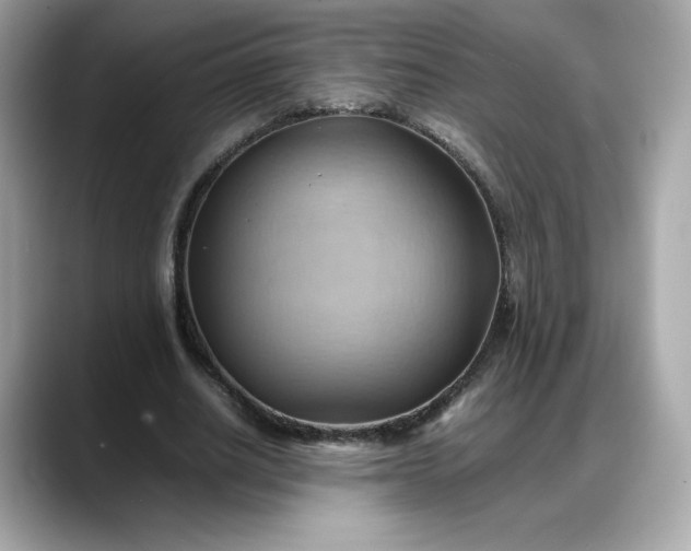 X0000088370630200706051042