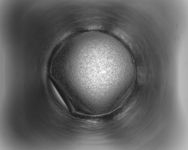 X0000088370631200706051042