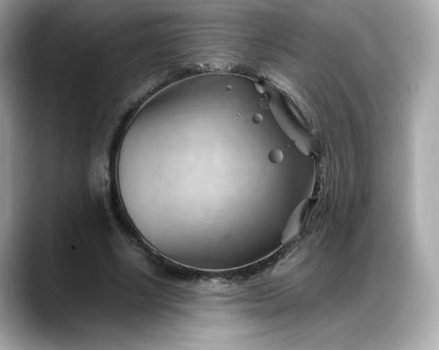 X0000088370634200706051042