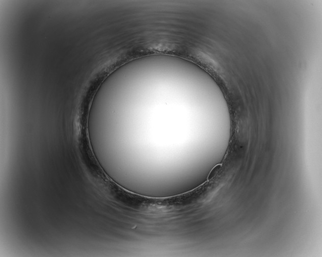 X0000088370635200706051042