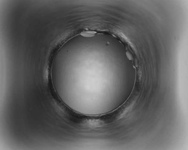 X0000088370637200706051042