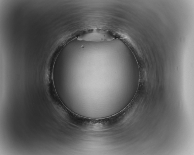 X0000088370640200706051042