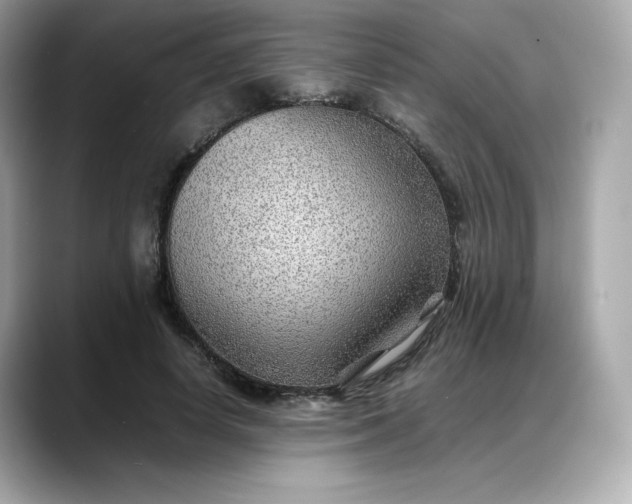 X0000088370642200706051042