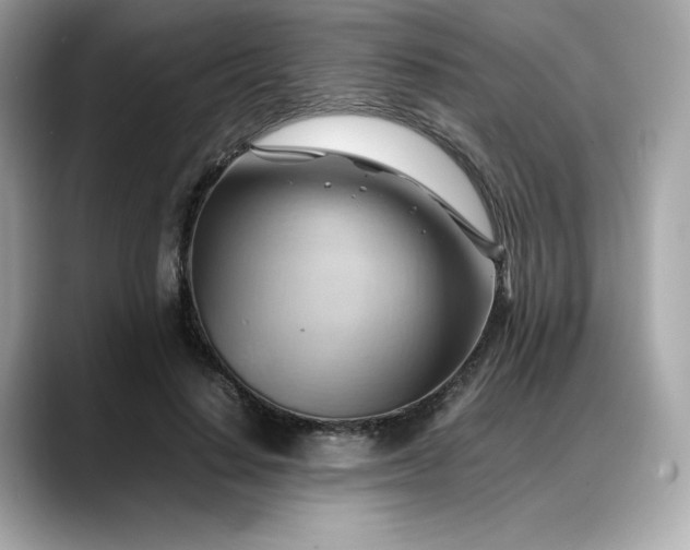 X0000088370644200706051042