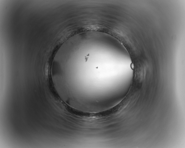 X0000088370647200706051042