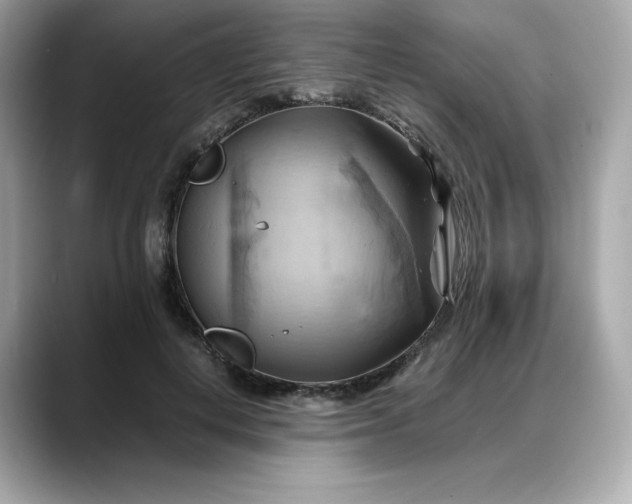 X0000088370648200706051042