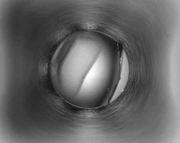 X0000088370652200706051042