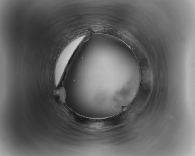X0000088370653200706051042