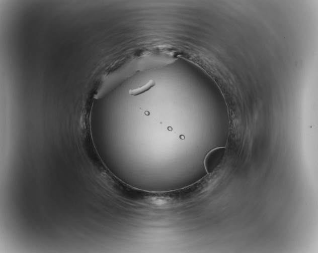 X0000088370654200706051042
