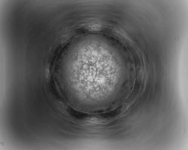 X0000088370655200706051042