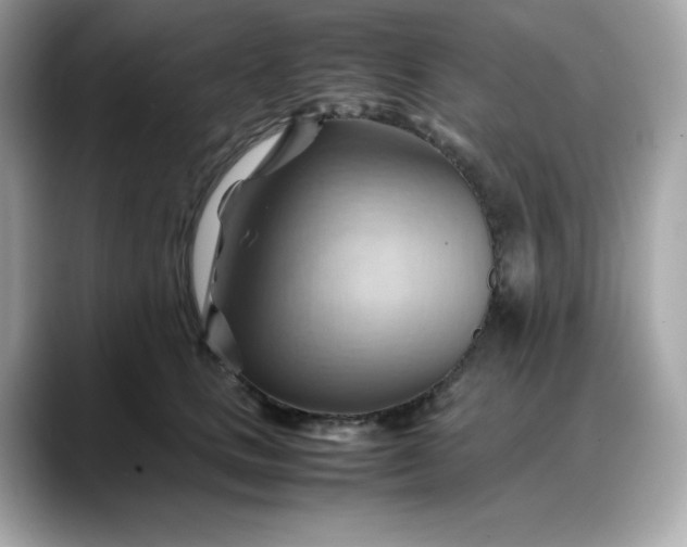 X0000088370661200706051042