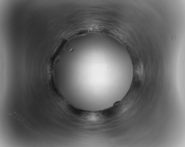 X0000088370663200706051042