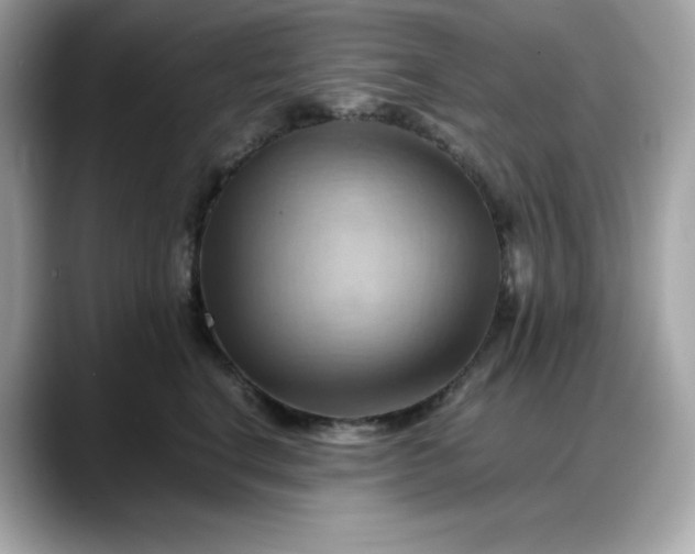 X0000088370664200706051042