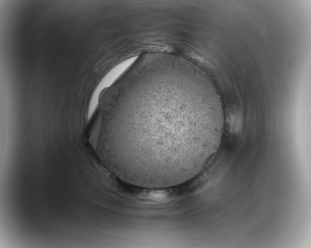 X0000088370665200706051042