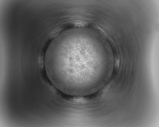 X0000088370666200706051042
