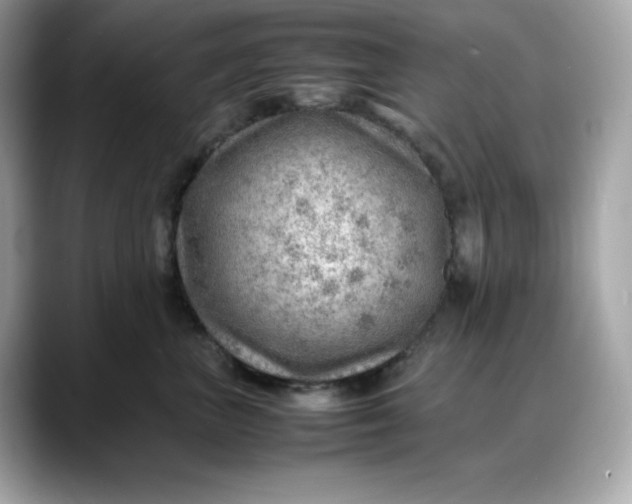 X0000088370667200706051042