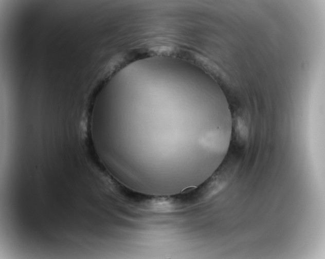 X0000088370668200706051042